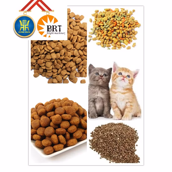 Fábrica de China, máquina de producción de pellets de alimento para peces flotante para perros, gatos, aperitivos, procesamiento de alimentos, línea de extrusión