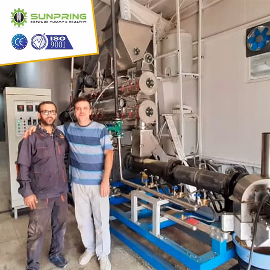 PRO Seco Húmedo Perro Mascota Gato Animal Pollo Flotante Hundimiento Alimento para peces Máquina para fabricar pellets Molino Equipo extrusor Granulador Línea de producción de procesamiento